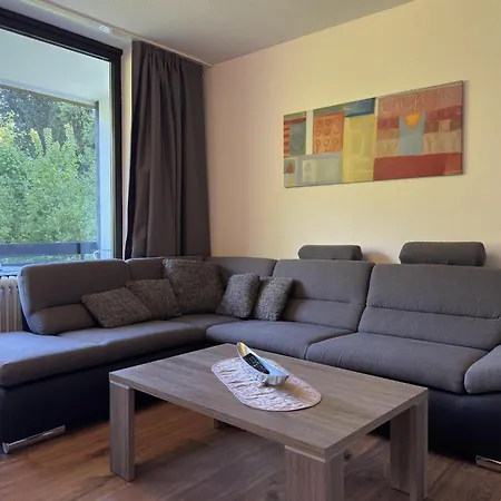 In Winterberg, Cleaning Included Apartmán