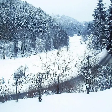 In Winterberg, Cleaning Included Apartment *
